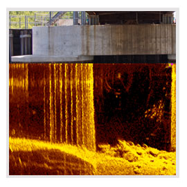 inset pic1 sector scan