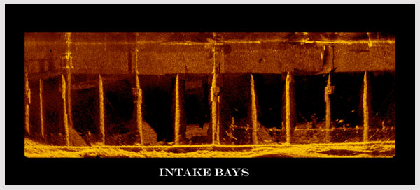 inset pic11 scan