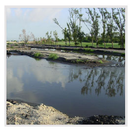 inset pic12 dewatering