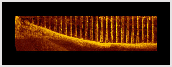 inset pic12 scan