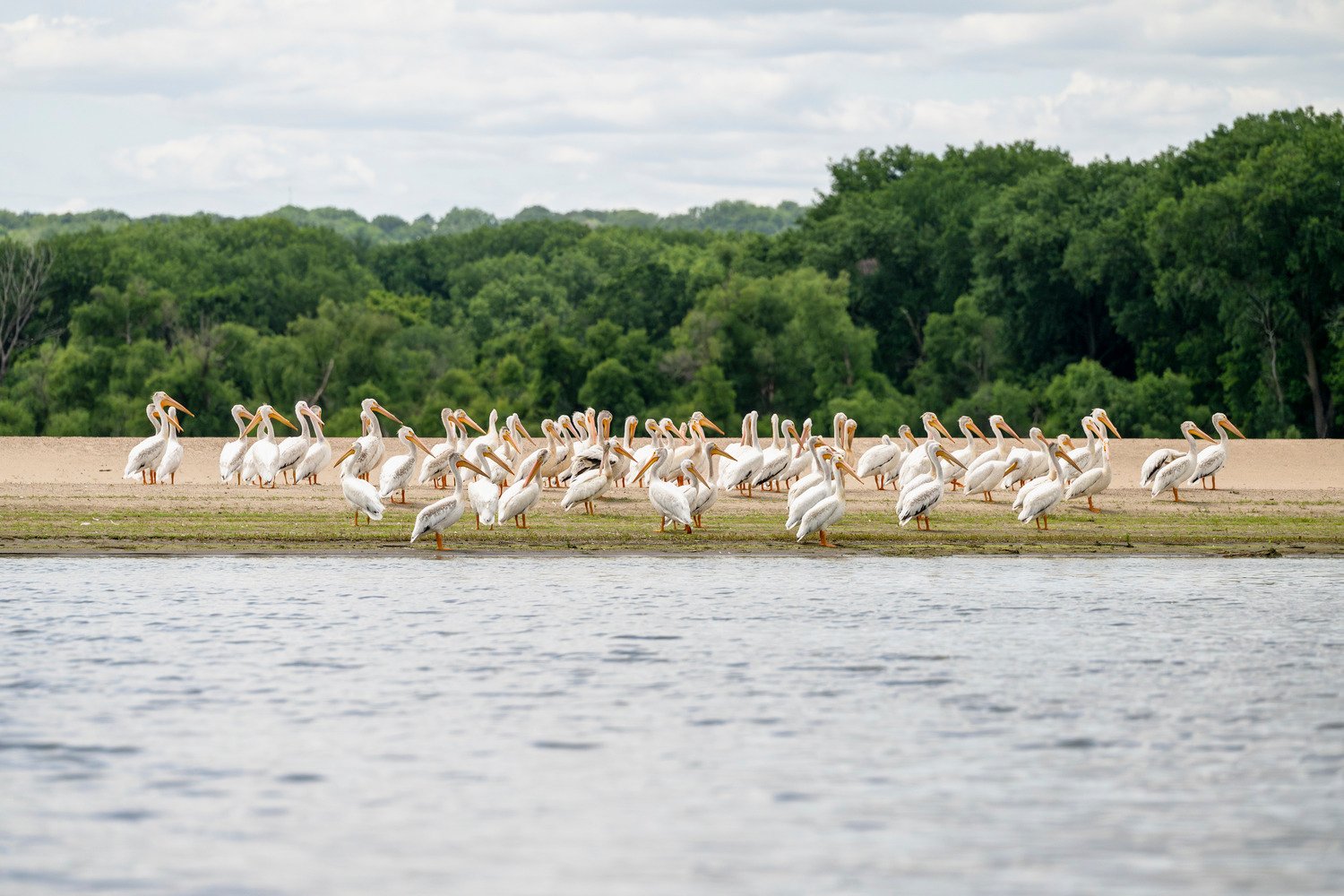 2023 Pigs Eye Lake - St. Paul, MN-102_medium