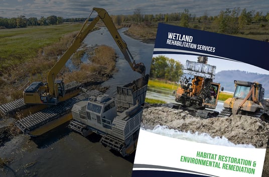 brochure-wetland
