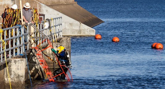 dive inspections, underwater inspections, dam inspections, FERC Part 12 Inspections, commercial divers, underwater construction, certified divers