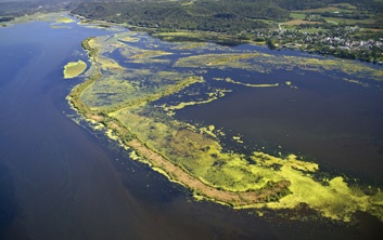 Environmental restoration, environmental remediation, wildlife habitat restoration, wetland remediation, wetland restoration, marsh restoration, wildlife habitat