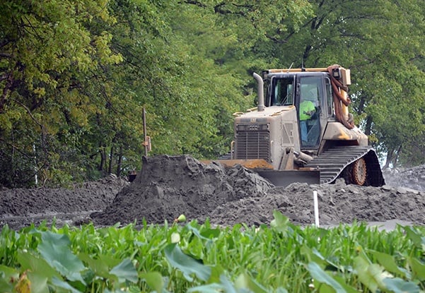 Environmental Habitat Restoration